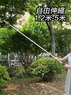 5.gif