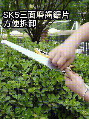 6.gif